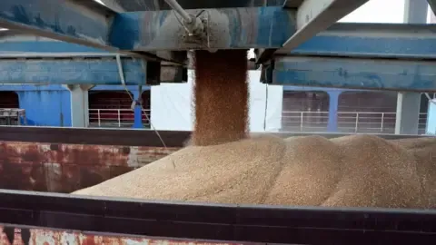 The nation Battles Gravest Dry Spell in Years, Forcing Countless People Toward the Edge