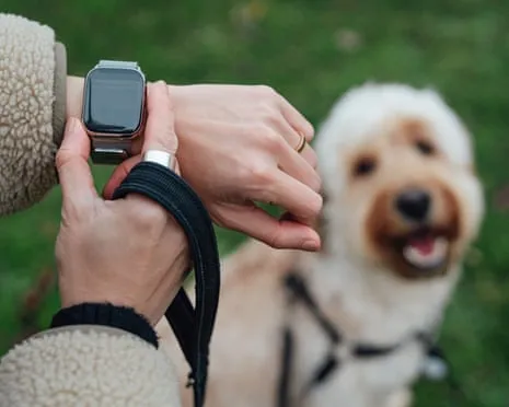 The Honest Scoop About Wearable Tech? Living Improves Without a Nagging Zealot on Your Wrist